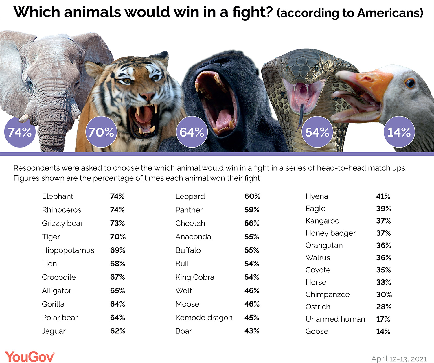 Man vs Beast - Poll displays chances of people beating Animals in a